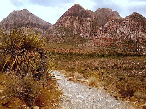 Barbara Whitney, CC BY-SA 4.0 , via Wikimedia Commons